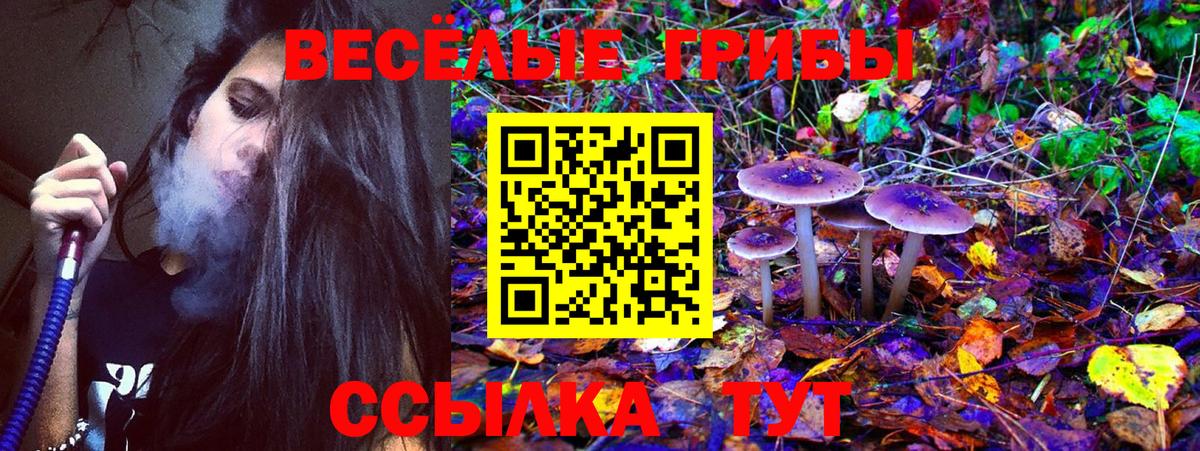 Елабуга  Галлюциногенные грибы Magic Shrooms  Вход с VPN 