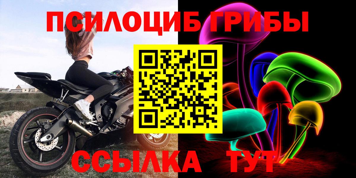 Псилоцибиновые грибы Psilocybine cubensis Елабуга